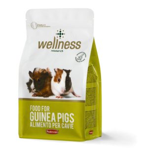 wellness-food-for-guinea-pigs-1kg