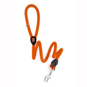 myfamily-memopet-orange-dog-leash
