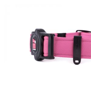myfamily-memopet-pink-dog-collar (2)