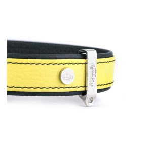 myfamily-firenze-dog-collar-in-genuine-italian-lime-leather-and-rope (2)