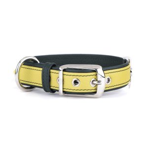 myfamily-firenze-dog-collar-in-genuine-italian-lime-leather-and-rope