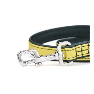 myfamily-firenze-dog-leash-in-genuine-italian-lime-leather (2)
